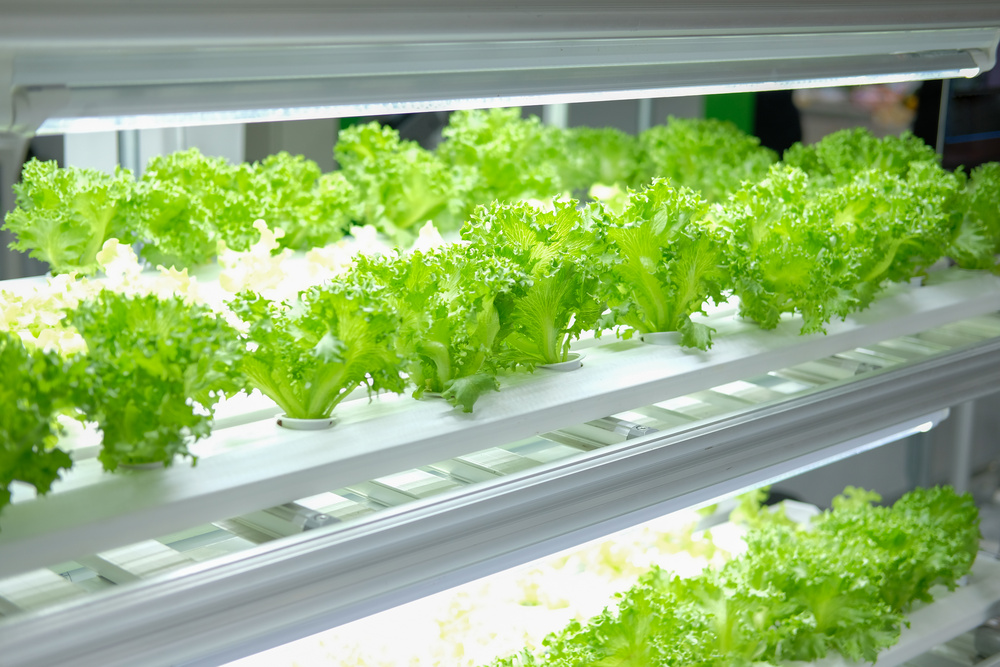 首页-场景应用 (1).jpg